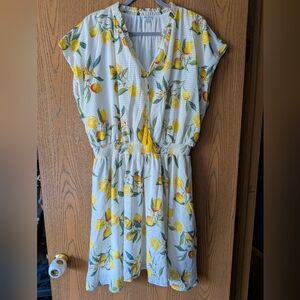 Ophelia Roe Lemon Dress | 2X